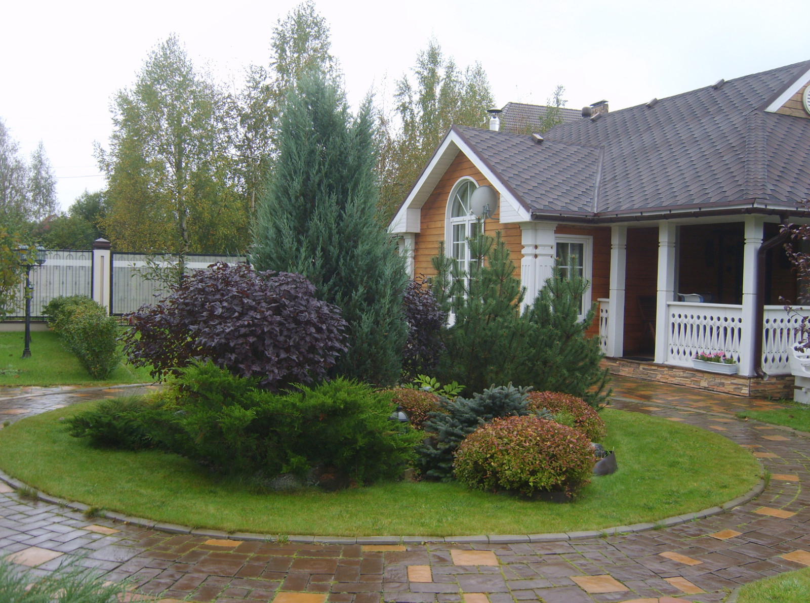 Композиция с хвойными и лиственными растениями