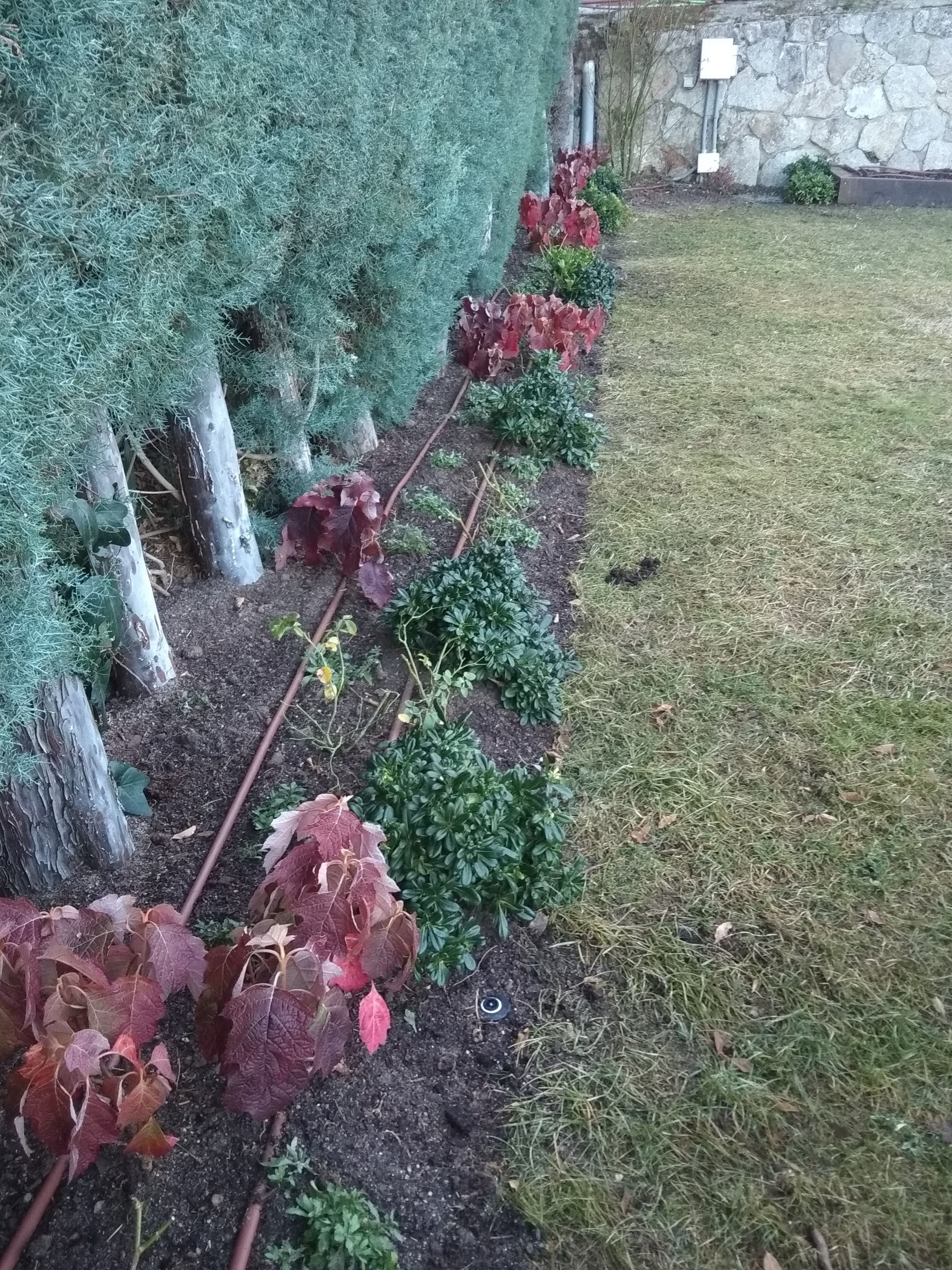 Dando color a viejos jardines