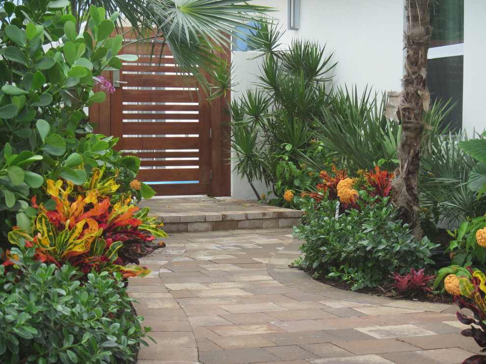 Design ideas for a tropical front yard garden in Miami.