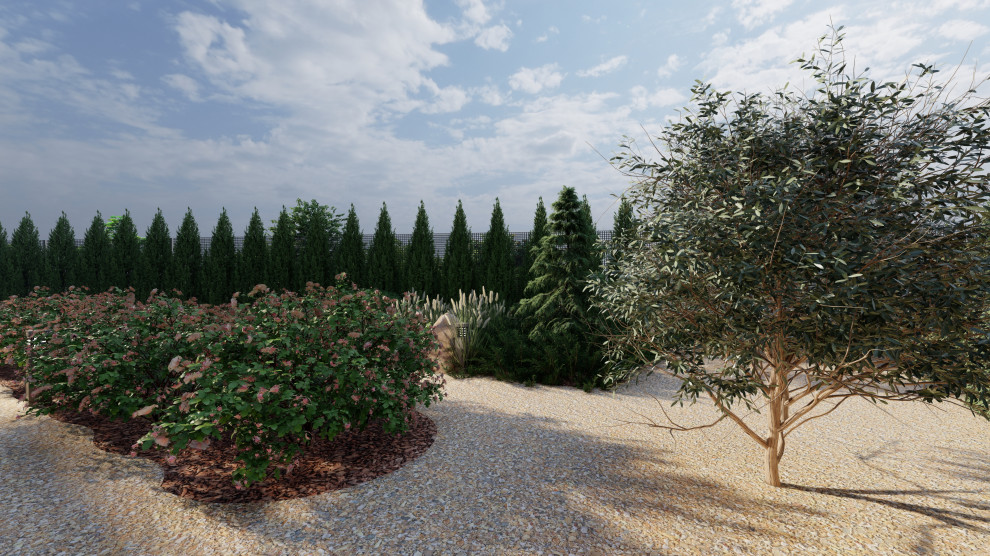 Сад: "Сакура восхода"