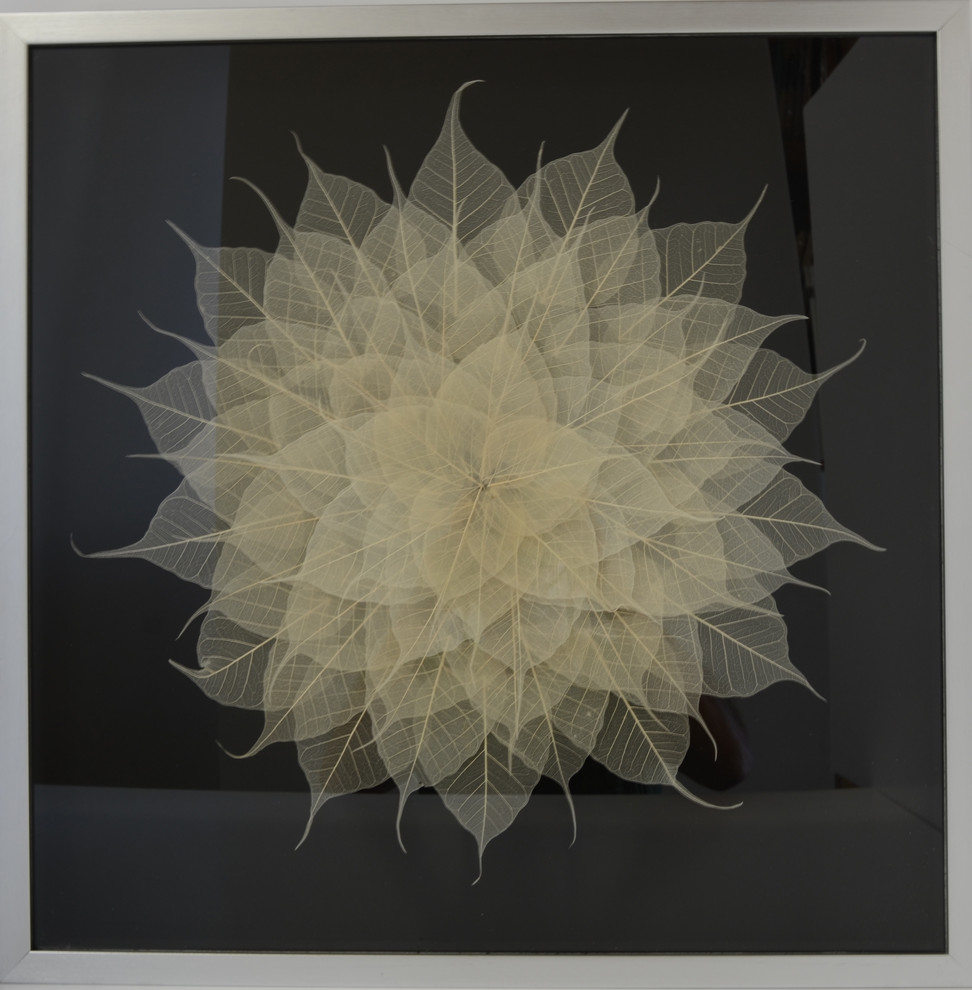 Shadow Box Framed Leaf Wall Art, 24" X 24" Contemporary Wall