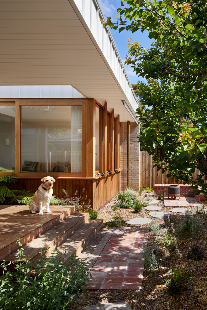 Photo of a small and australian native contemporary backyard partial sun xeriscape for summer in Melbourne with with privacy feature, brick pavers and a wood fence.