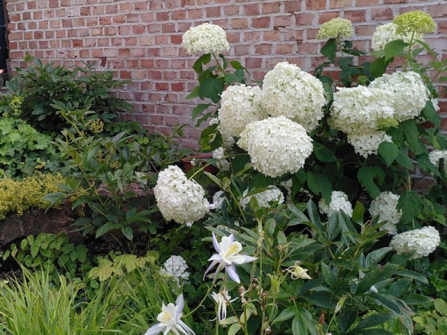 2 Jahre sp&auml;ter...genie&szlig;en garden