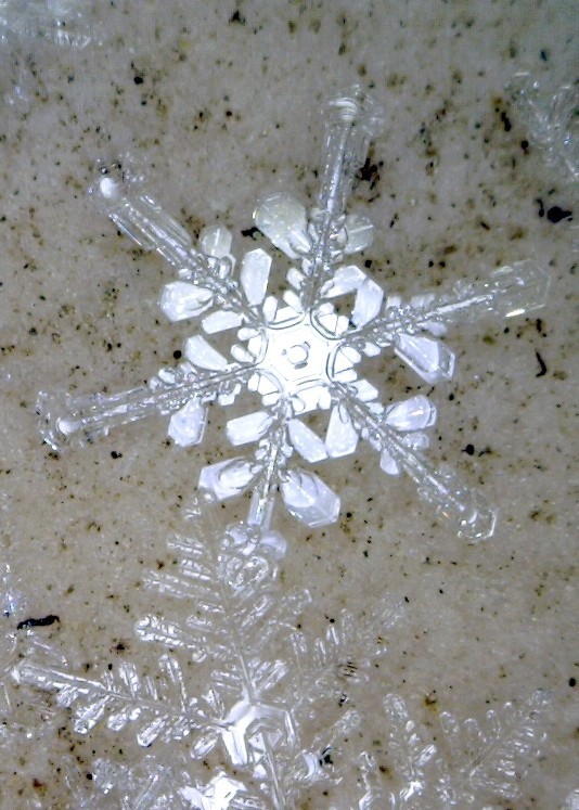 "Perfect Snowflake - Framed" Original Art