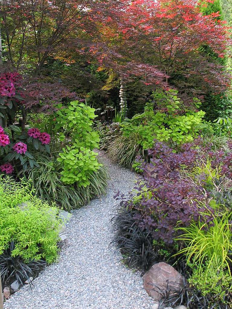 Great Design Plant: Ogon Spirea for Radiance and Texture
