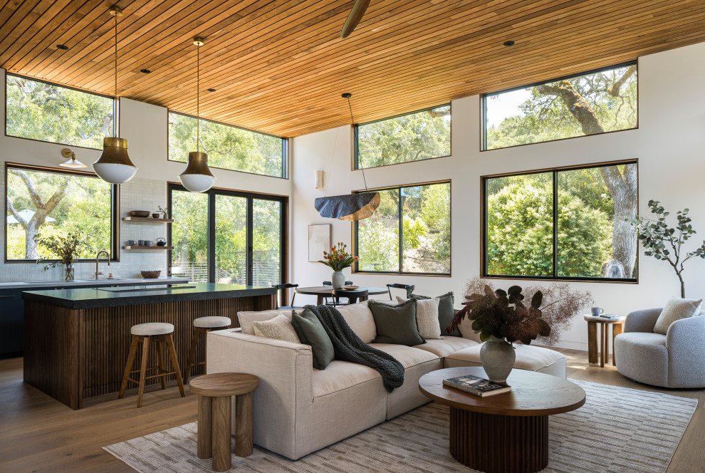 Napa Mid Century - Midcentury - Living Room - San Francisco - by Hanes ...