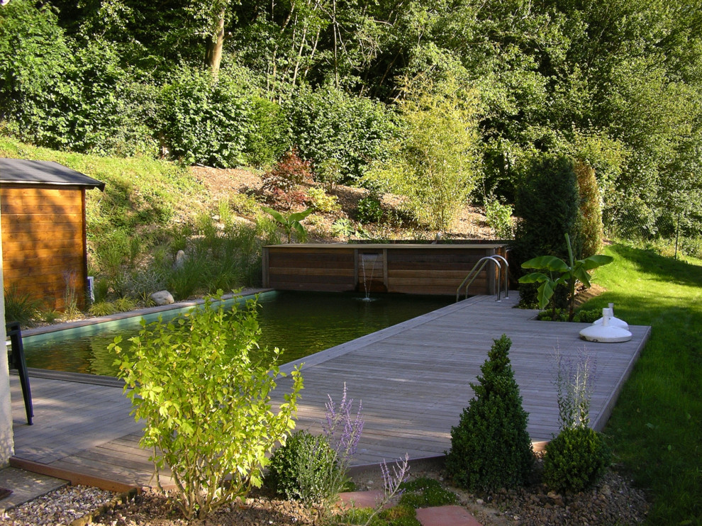 Piscine naturelle