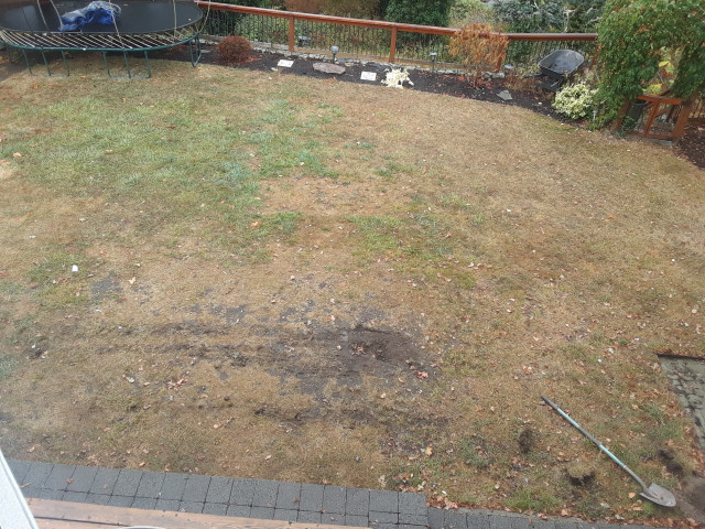 Backyard Above Ground Pool swimming-pool