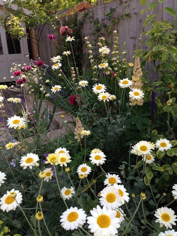 Photo of a small shabby-chic style courtyard partial sun garden for summer in Surrey with a retaining wall and natural stone paving.
