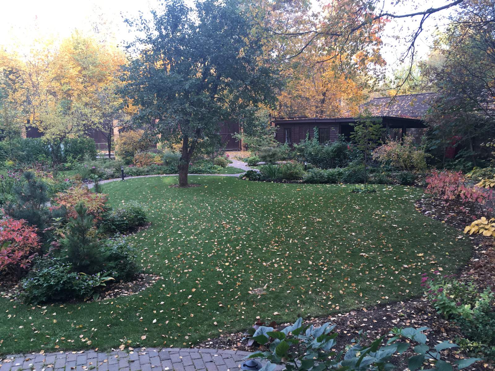 Белкин сад. Осень 2019