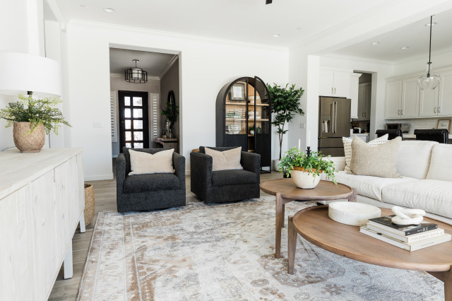 Modern Transitional Refresh moderne-dagligstue