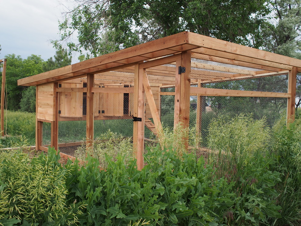 Modern Chicken Coop Modern Denver by rossmönster designs Houzz