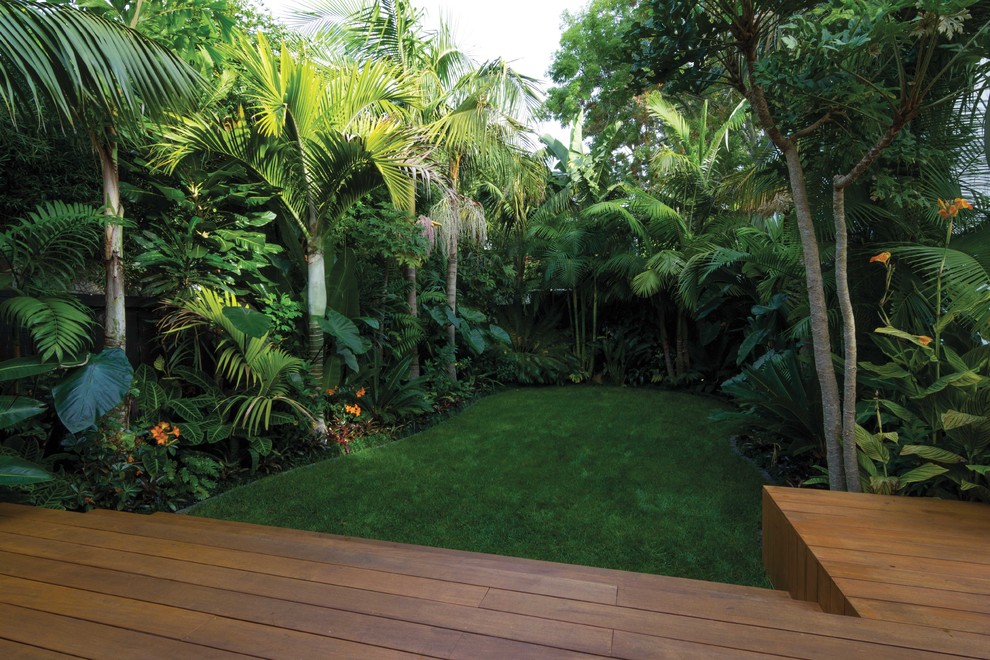 This is an example of a tropical landscaping in Auckland.