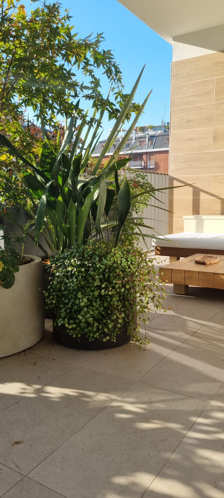 Realizzazione Una stanza all'aperto