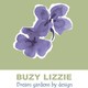 Buzy Lizzie