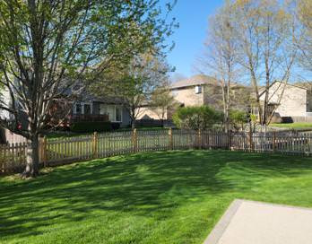 Before Back Yard Back Corner