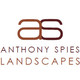 Anthony Spies landscapes