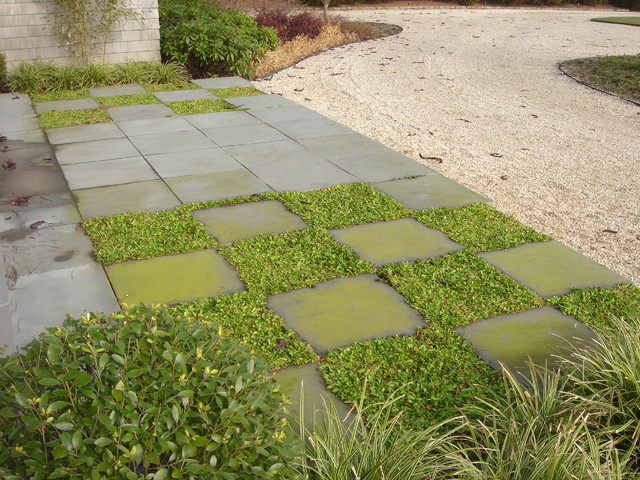 Misc. contemporary-garden