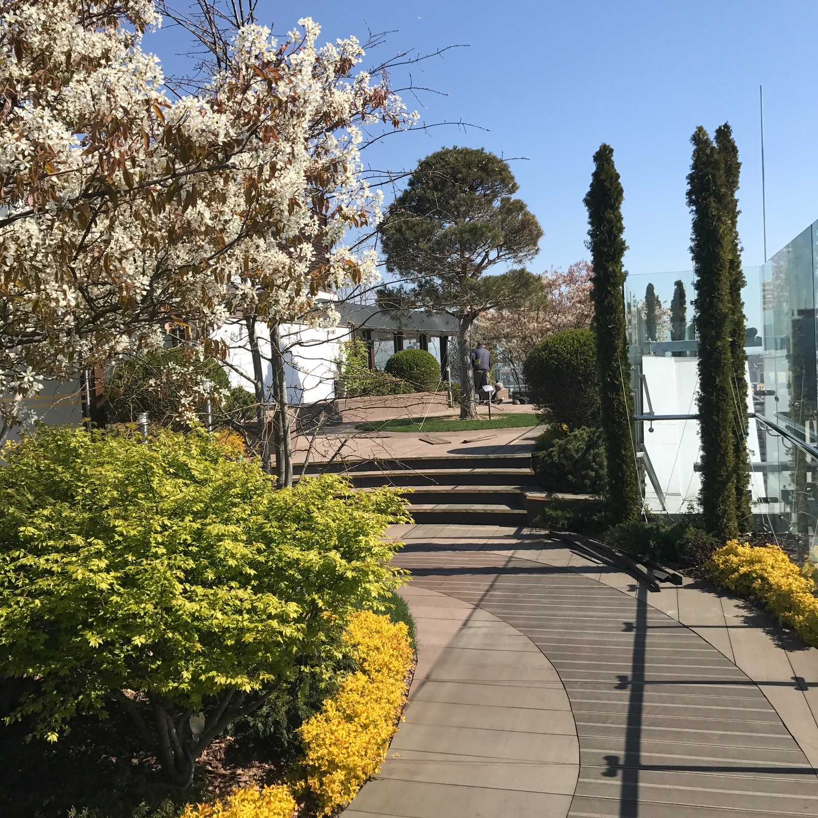 Парк на крыше жилого высотного здания.