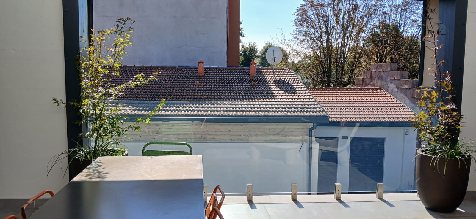 Realizzazione Wild in the city