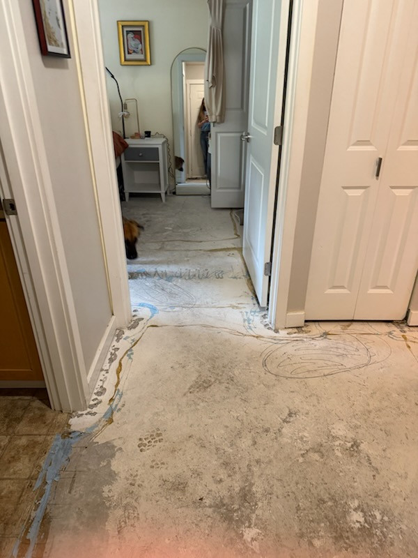 Concrete Subfloor Leveling & Prep