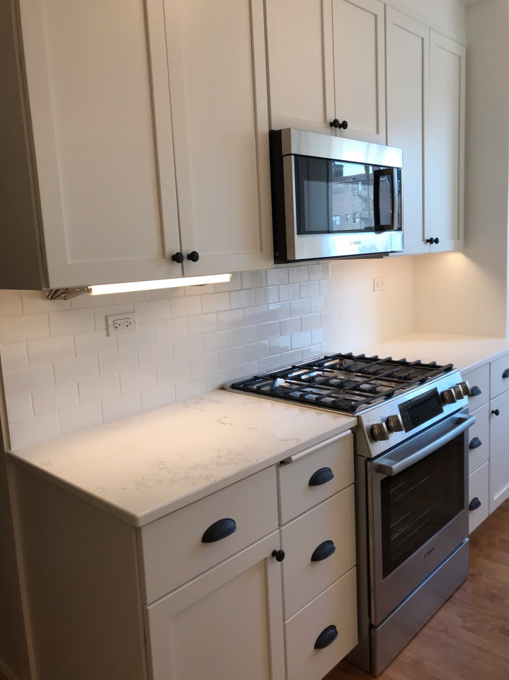 Transitional kitchen photo in Chicago