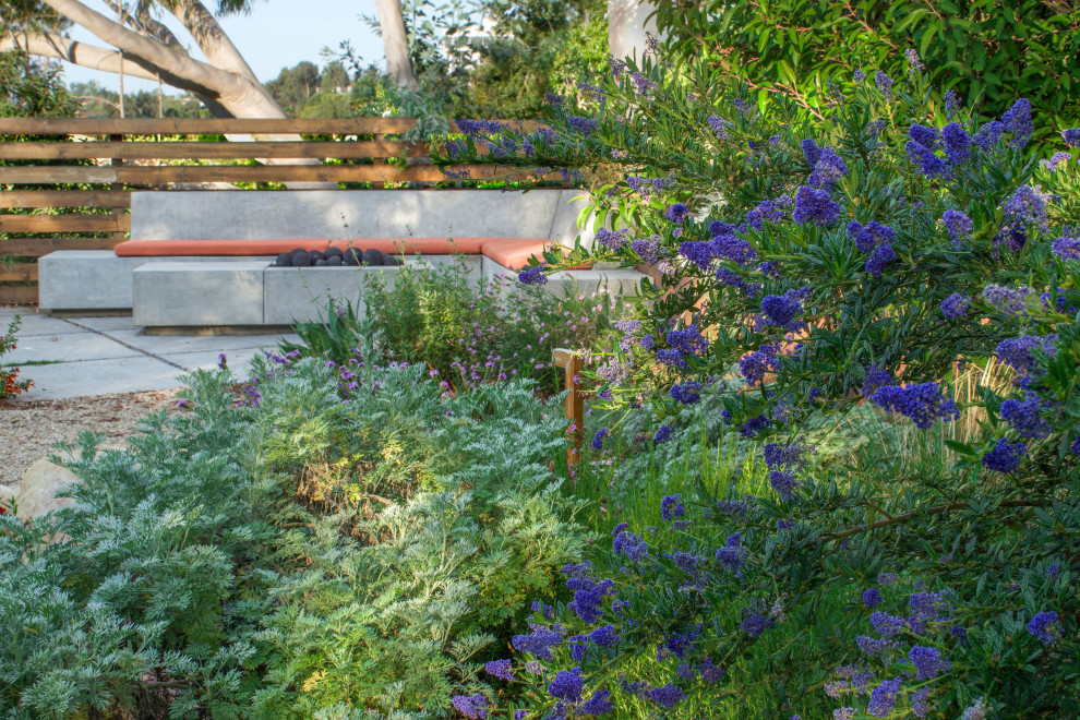 На фото: большой солнечный, весенний засухоустойчивый сад в стиле модернизм с местом для костра, хорошей освещенностью, мощением тротуарной плиткой и с деревянным забором с