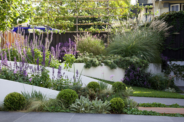 One Woolooware contemporary-garden