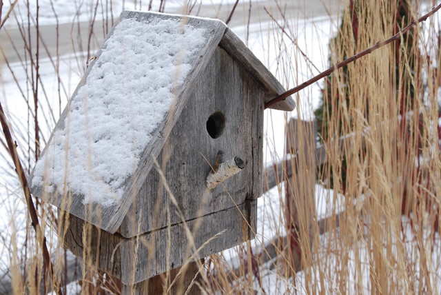 Des refuges pour les oiseaux pendant l'hiver
