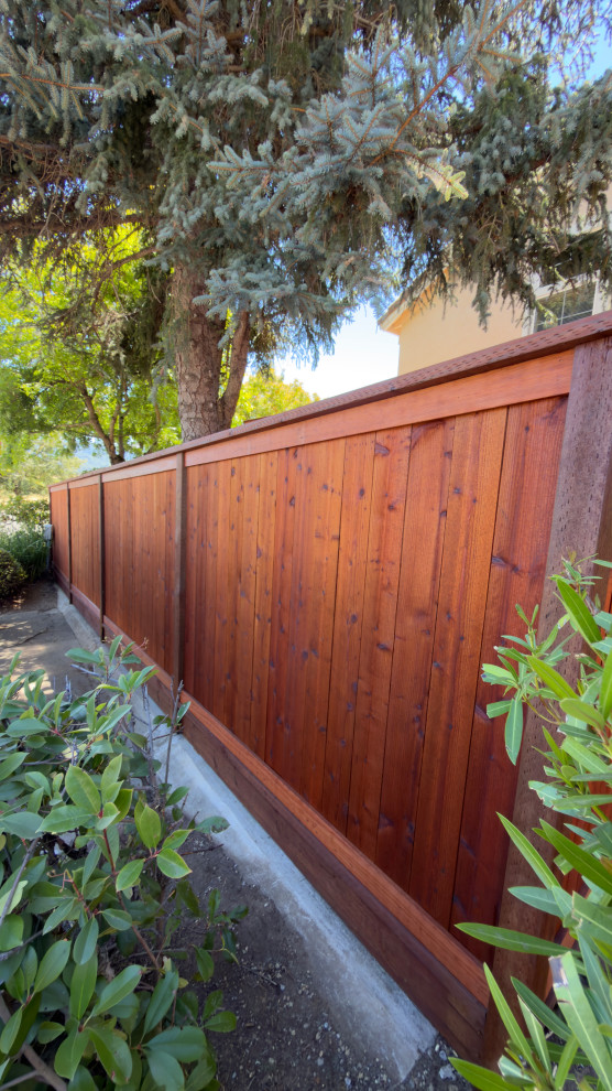 Complete Backyard & Landscape Renovation