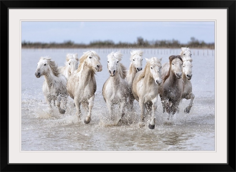 "Running wild horses" Black Framed Art Print Contemporary