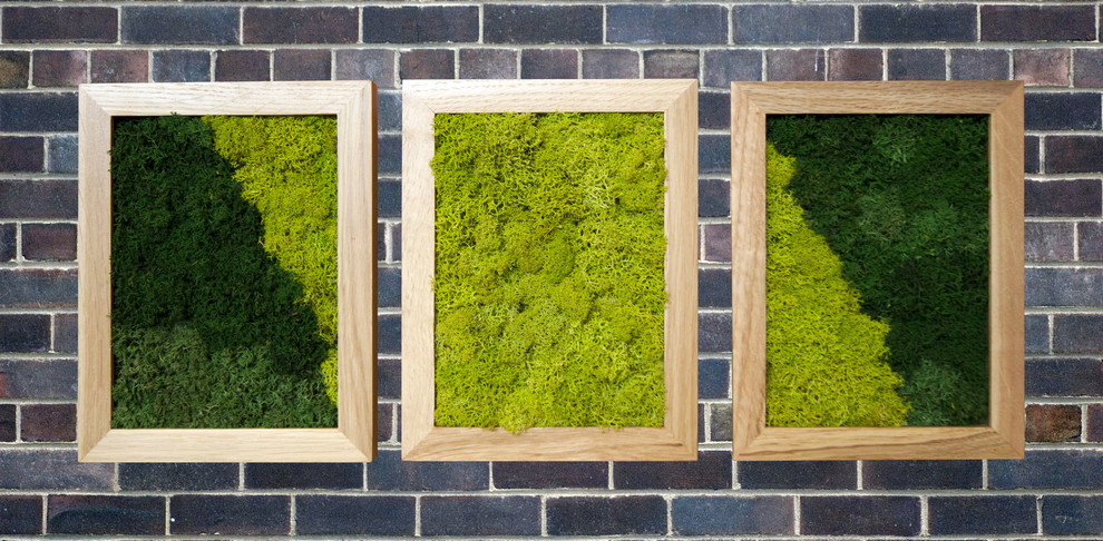 Фитокартины