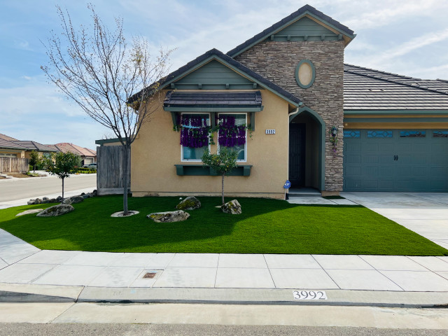 Front Yard Projects 