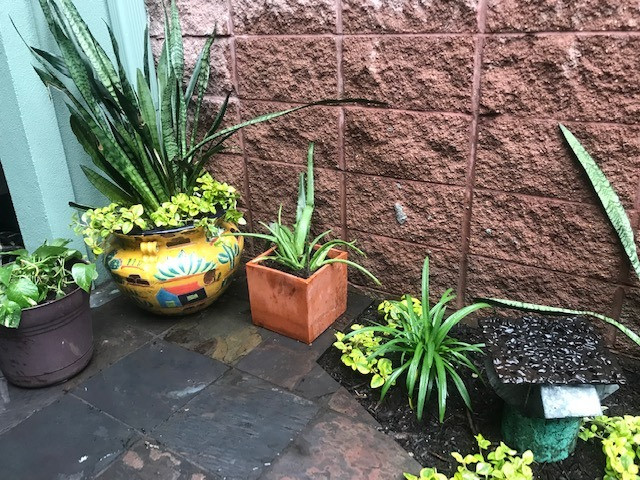 Townhome patio and walk space