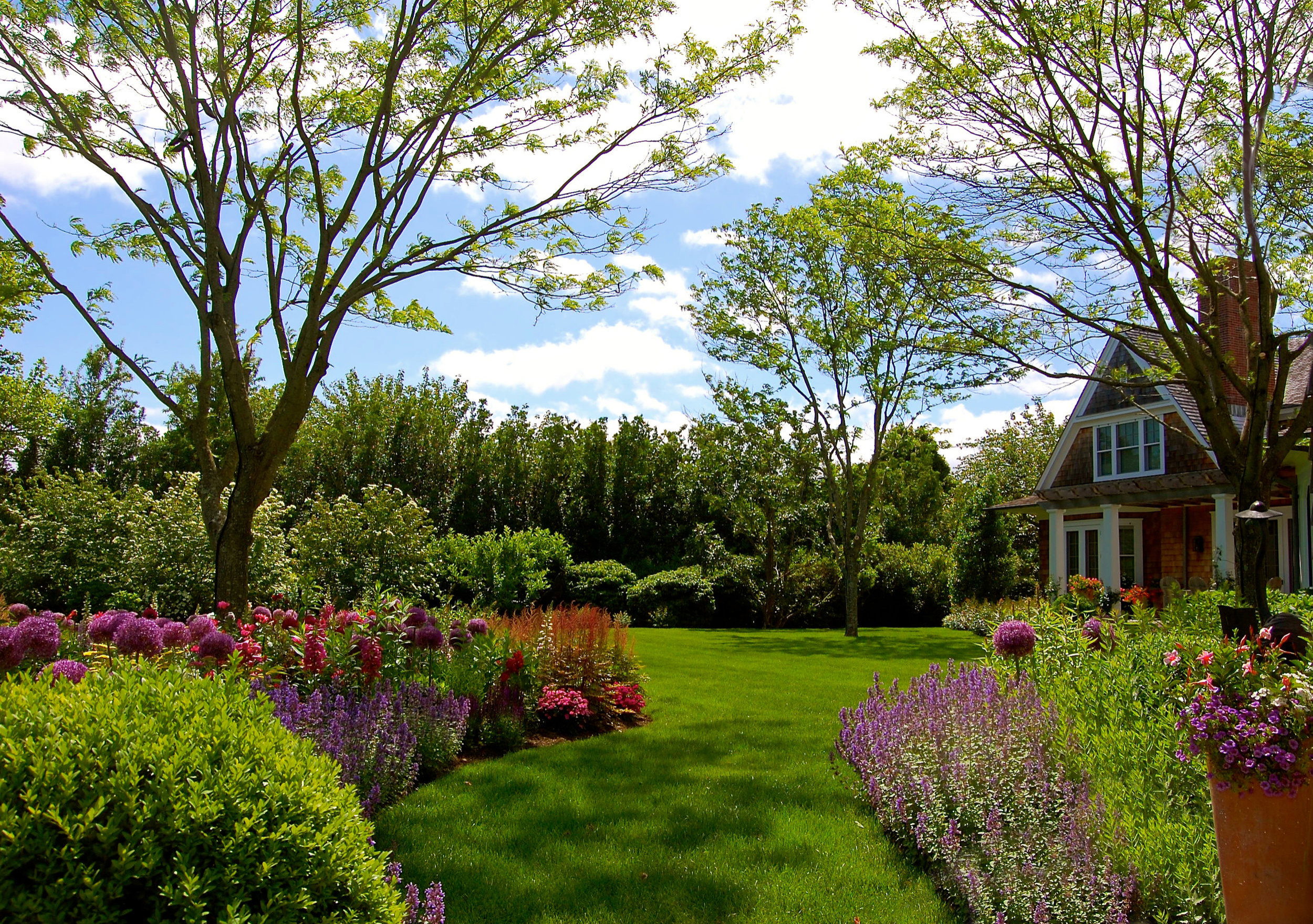 Rear Back yard welcomes Perennial Garden