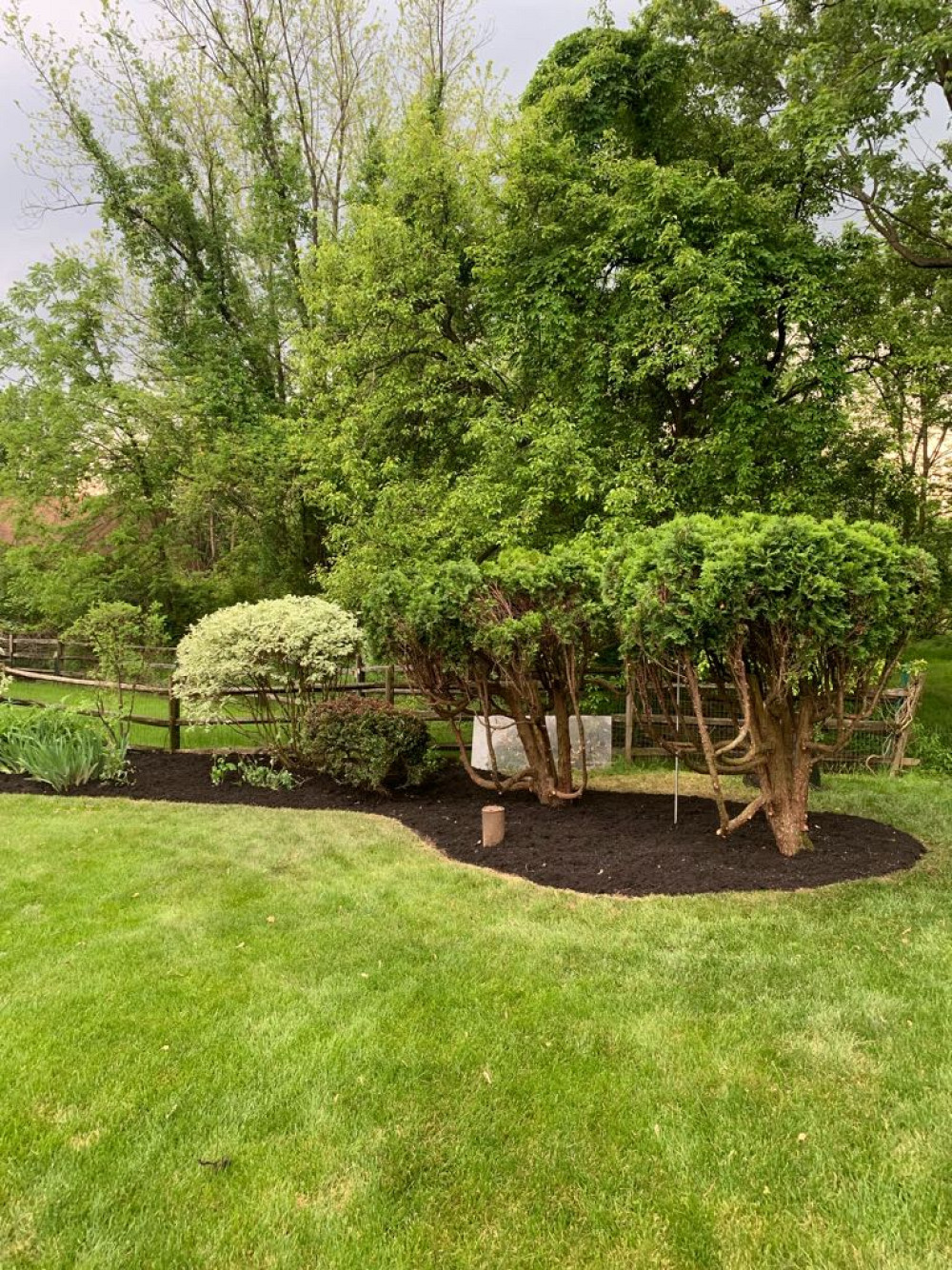 Softscape Projects
