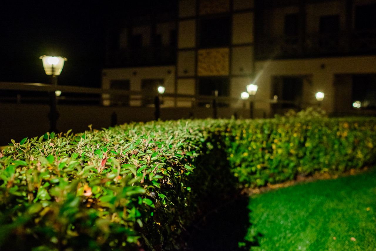 Светодиоды в ландшафте