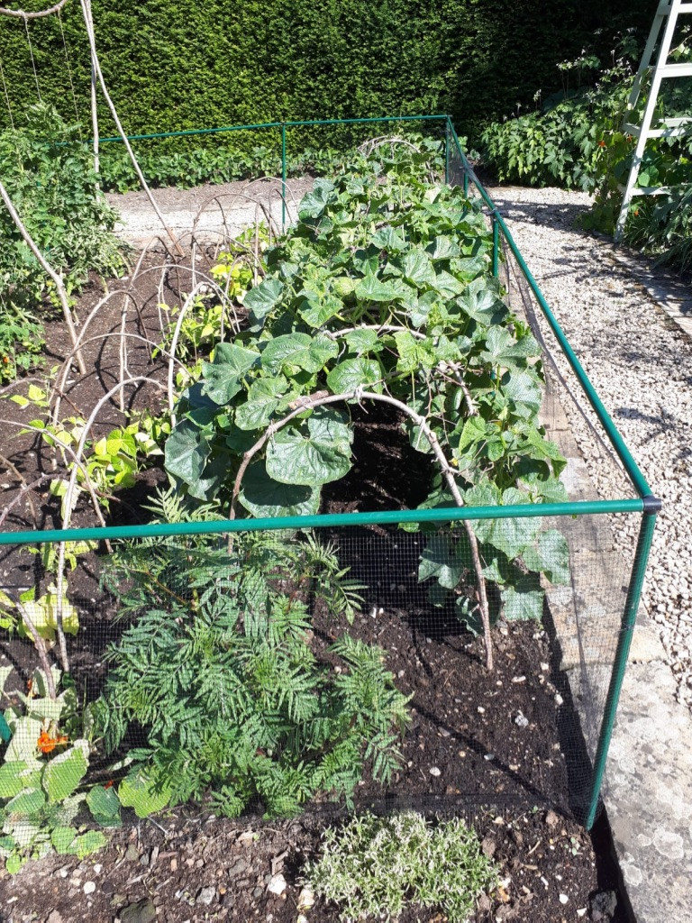 Vegetable Garden Maintenance Project