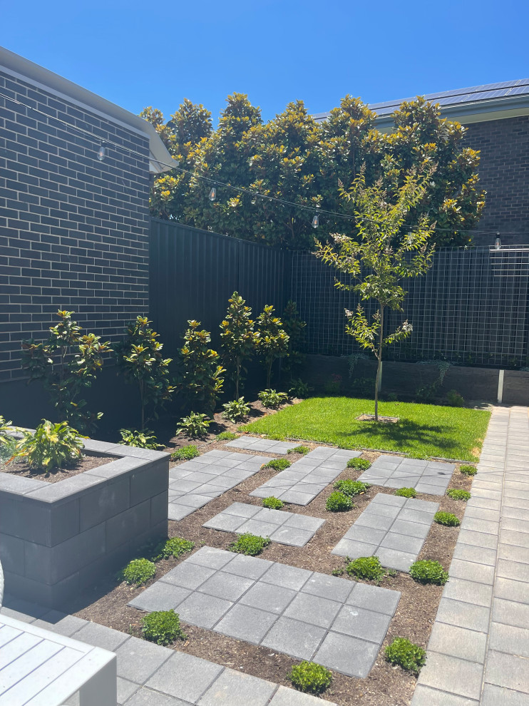 This is an example of a small contemporary full sun backyard landscaping in Adelaide.