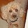 michelle_blinderman