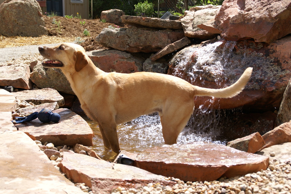 Example of a small eclectic backyard stone patio fountain design in Denver