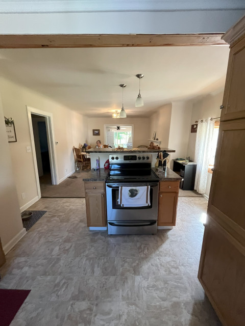 kitchen correction transitional