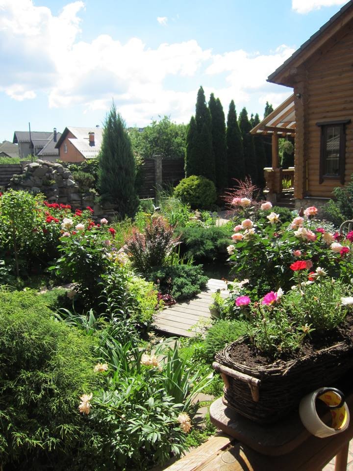 Ландшафт в пейзажном стиле с плавательным прудом 12 соток