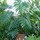 webuser_623795