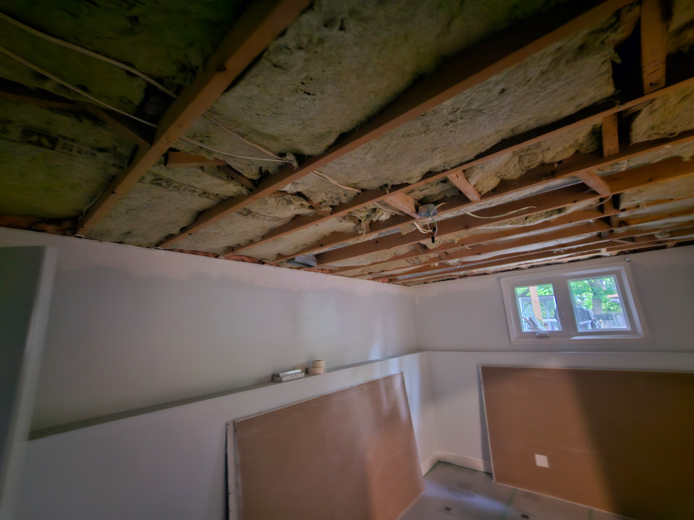 Drywall Ceilings & Interior basement painting. (Guelph)