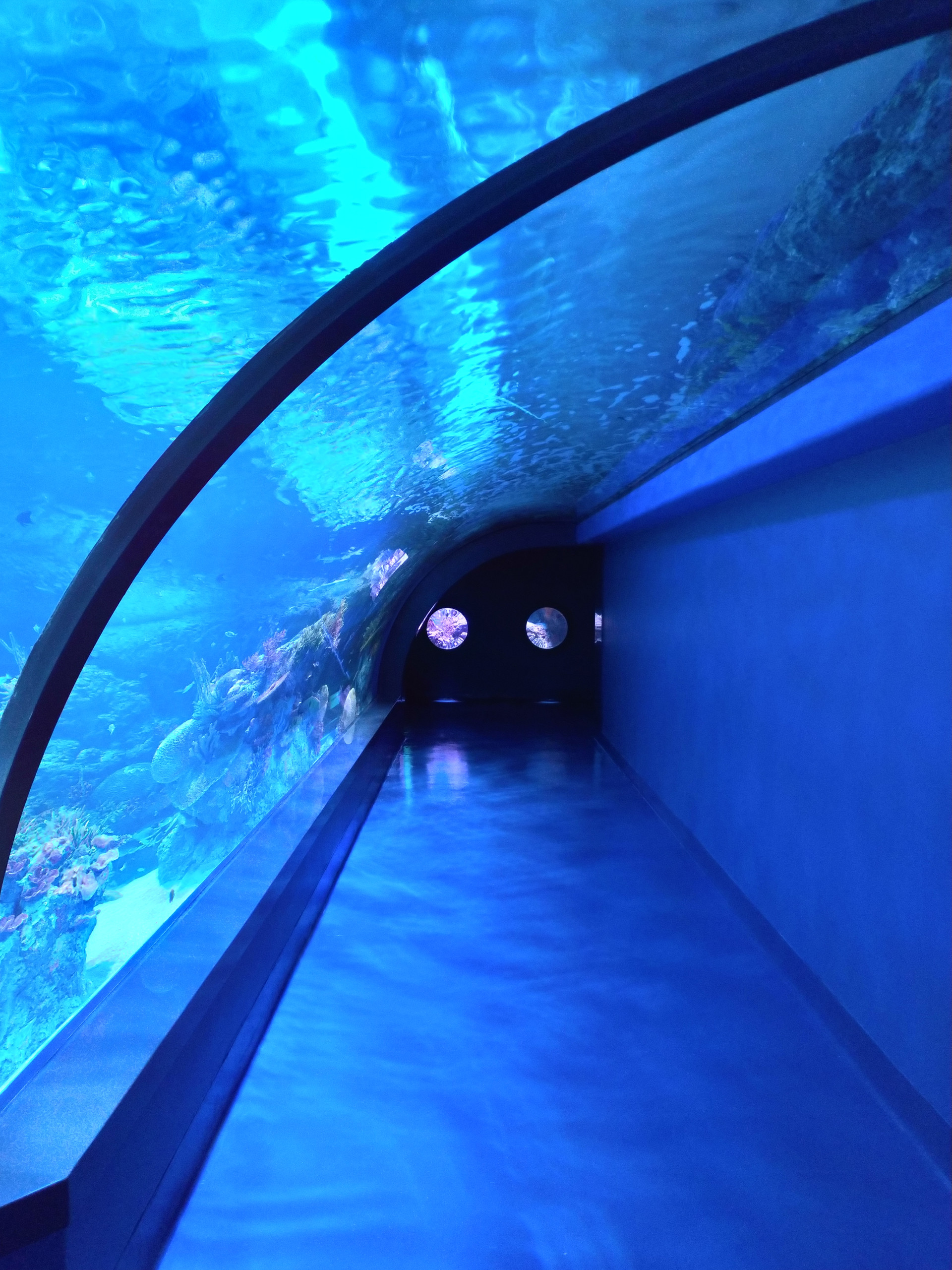 Goldenhall Aquarium - Athens, Greece
