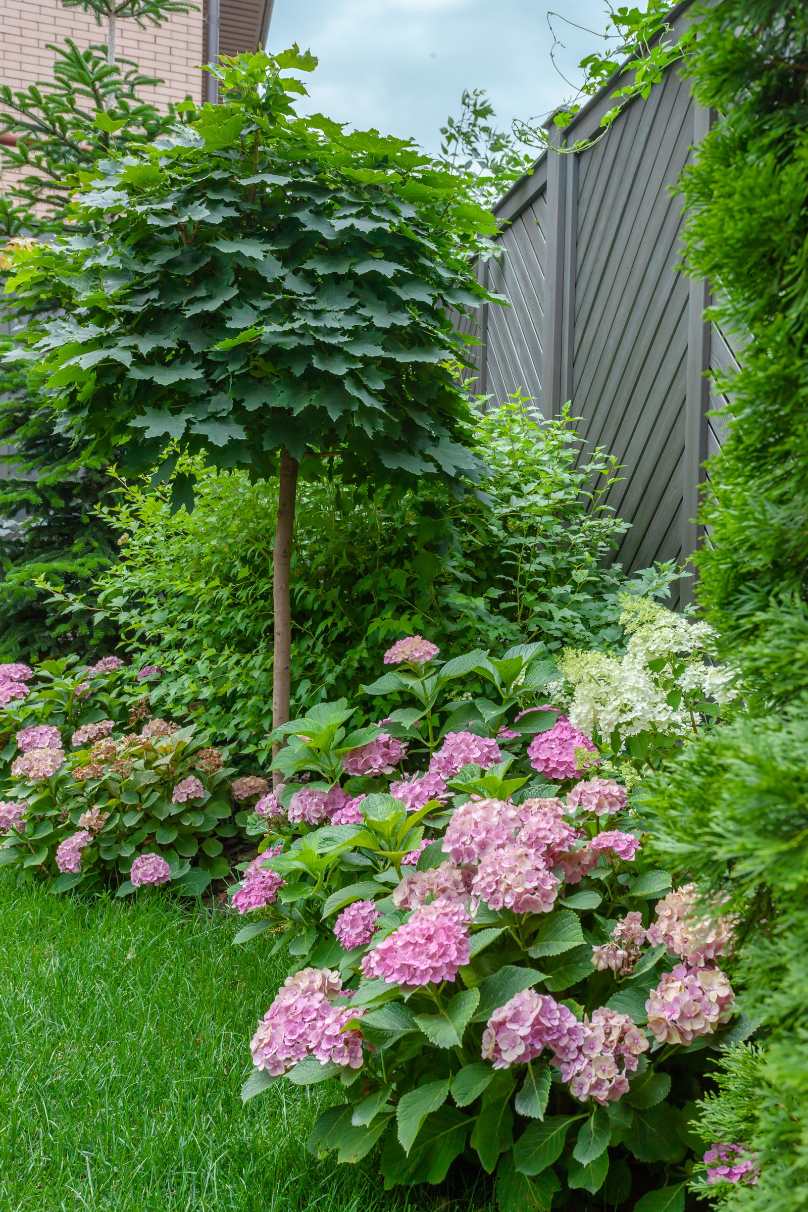 "В миниатюре"