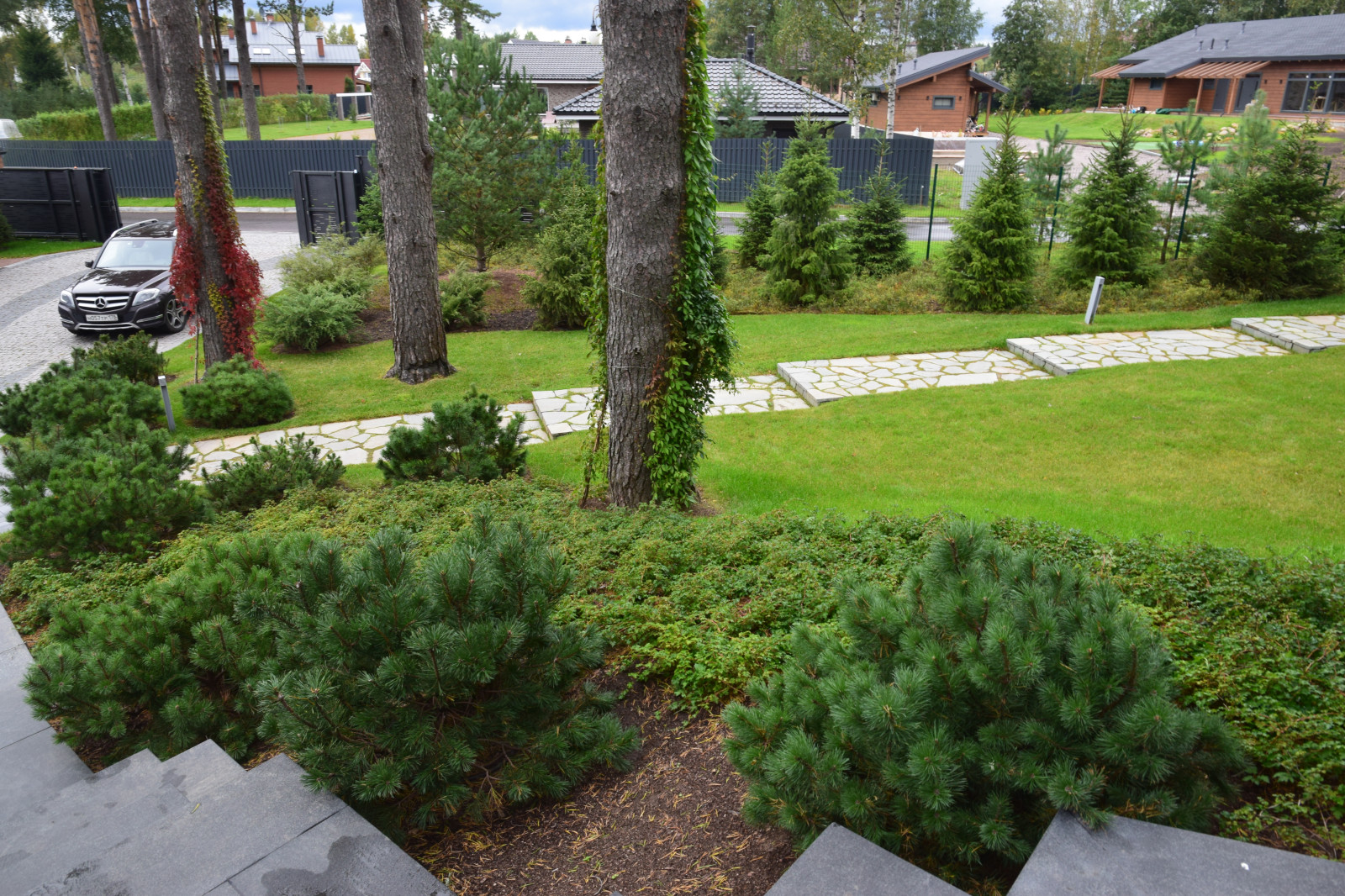 Сестроречье