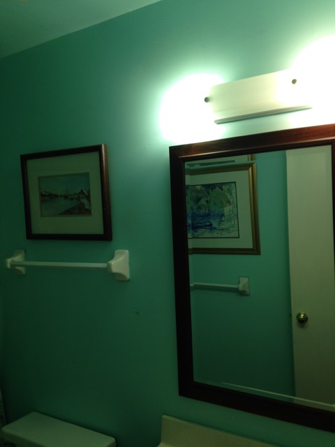 Guest Bath Refresh transitional