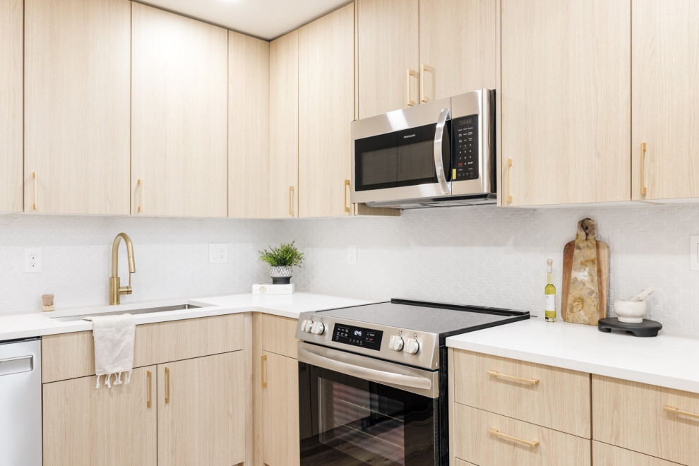 Platt Park Full Home Renovation